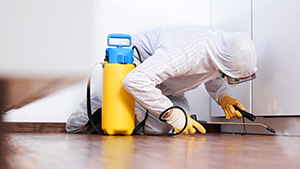 mold-remediation-claims-example Commercial Insurance Canada Scenario