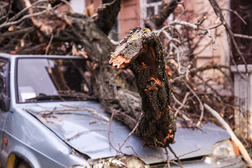 Landscaping – Damage Landscaping Liability - CGL Insurance