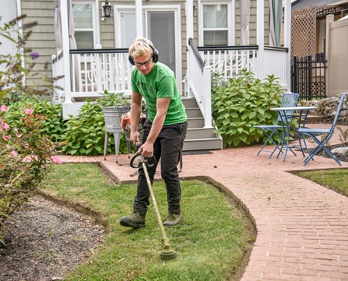 A professional landscaper