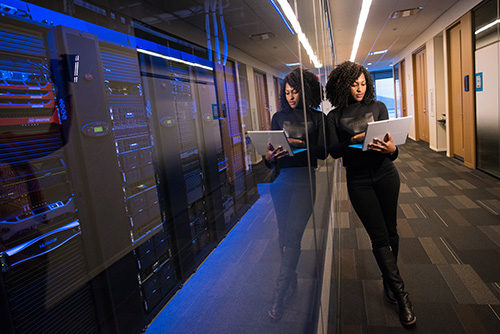 IT professional IT professional liability