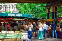 Consumers at a farmers market