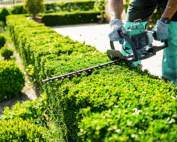 Landscaping and lawn care insurance