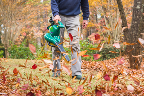 Oct 30-Seasonal_Blog Image Insurance for seasonal businesses