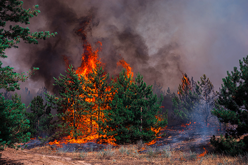 Wildfire season, commercial property insurance