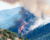 Is your small business ready for wildfire season?