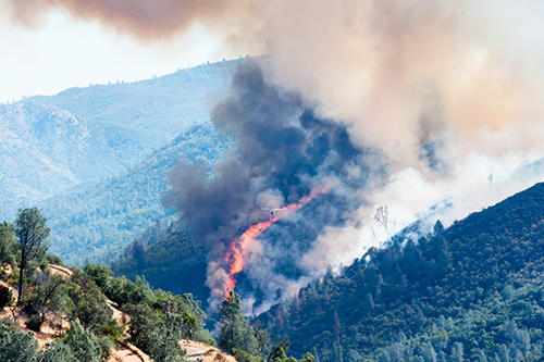Is your small business ready for wildfire season?