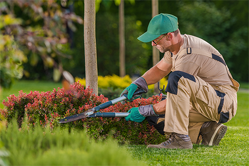 Landscaping and lawn care insurance