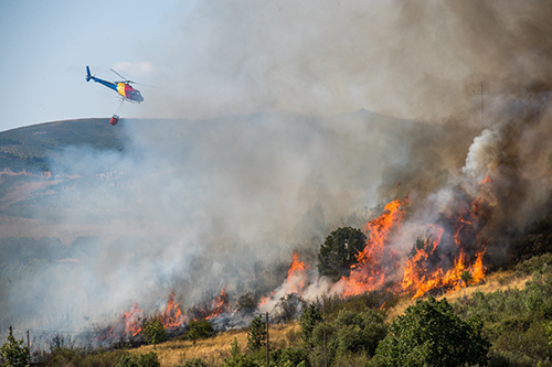 How to protect your small business from wildfires