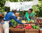 10 summertime business insurance claims in Canada